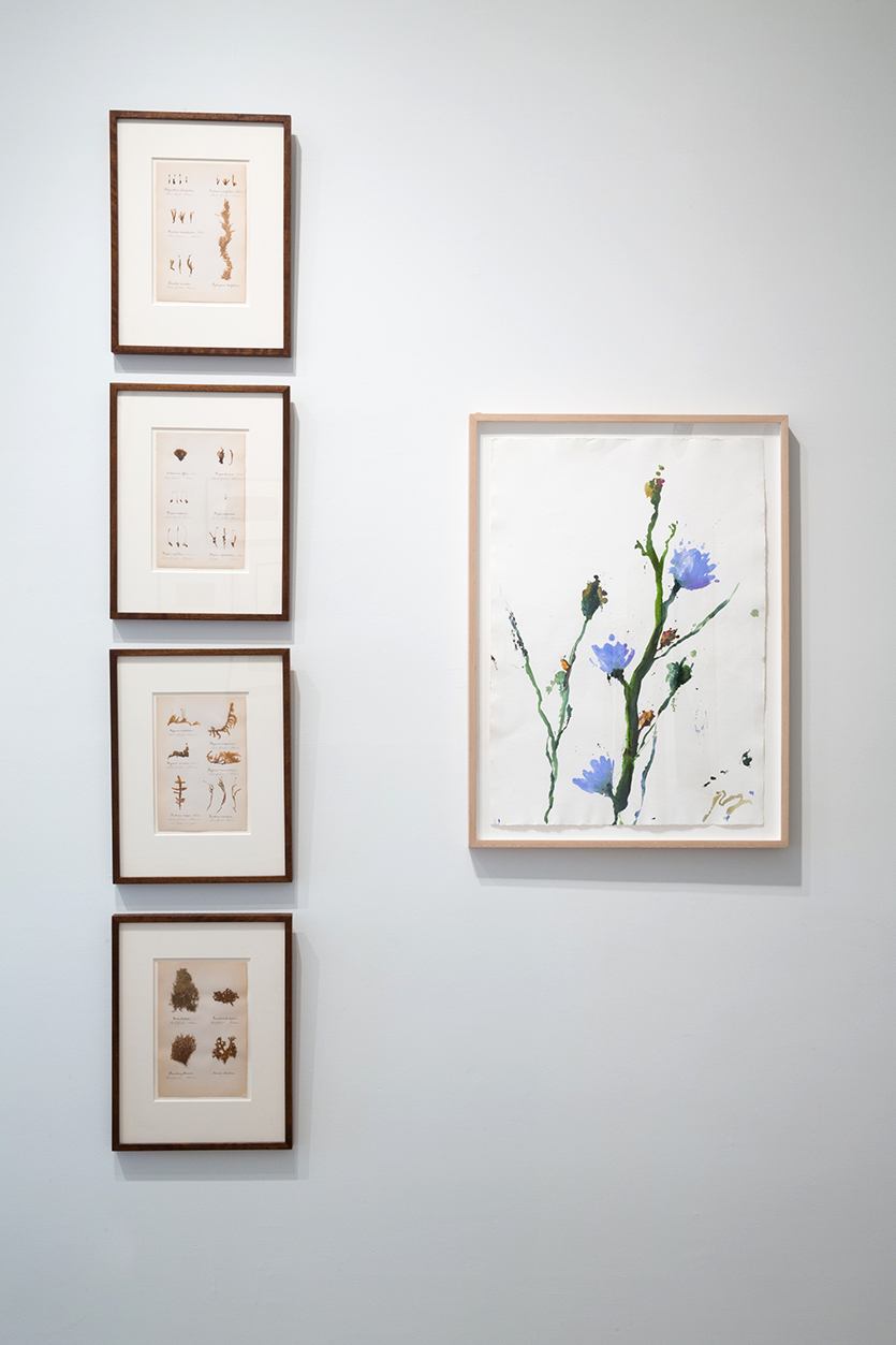 An installation of contemporary works with 
18th & 19th century drawings and watercolors, Historical Works on Paper